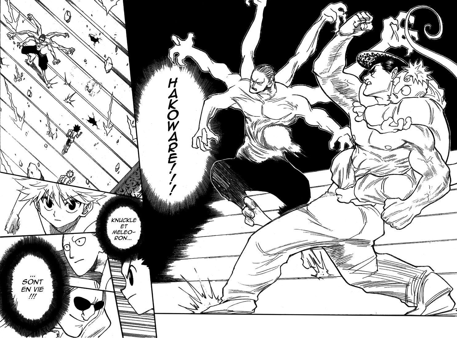 Hunter X Hunter Scan 266 Vf